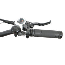 Load image into Gallery viewer, The Peace Cruiser