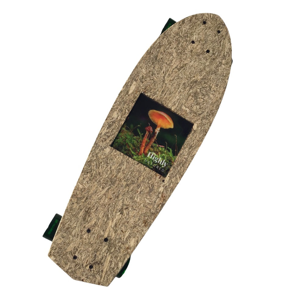 globe big blazer coconut palm Cruiser Board: Forager – Highly Natured